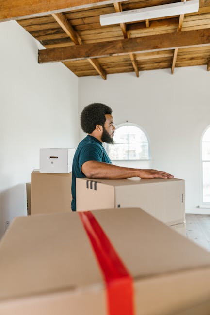 A young woman with curly hair and casual clothing sits on a wooden floor, smiling with her arms resting on a large cardboard moving box in front of her. She is surrounded by numerous stacked cardboard boxes of various sizes, some sealed with red or black tape, and others partially open to reveal packing materials. The background features a textured blue wall, and the scene appears to be inside a room prepared for a home relocation. The presence of the boxes and the casual, relaxed demeanor of the woman suggest she is involved in packing or unpacking during a moving day, which is relevant to house removals and furniture transport services offered by a company like Man with Van Harringay.